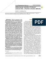 Screening of Antibacterial Activity of Mucus