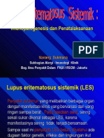 LupusEritematosusSistemikpendidikan-drnanang