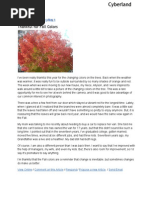 Thankful for Fall Colors