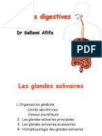 Cours Glandes Digestives 2014