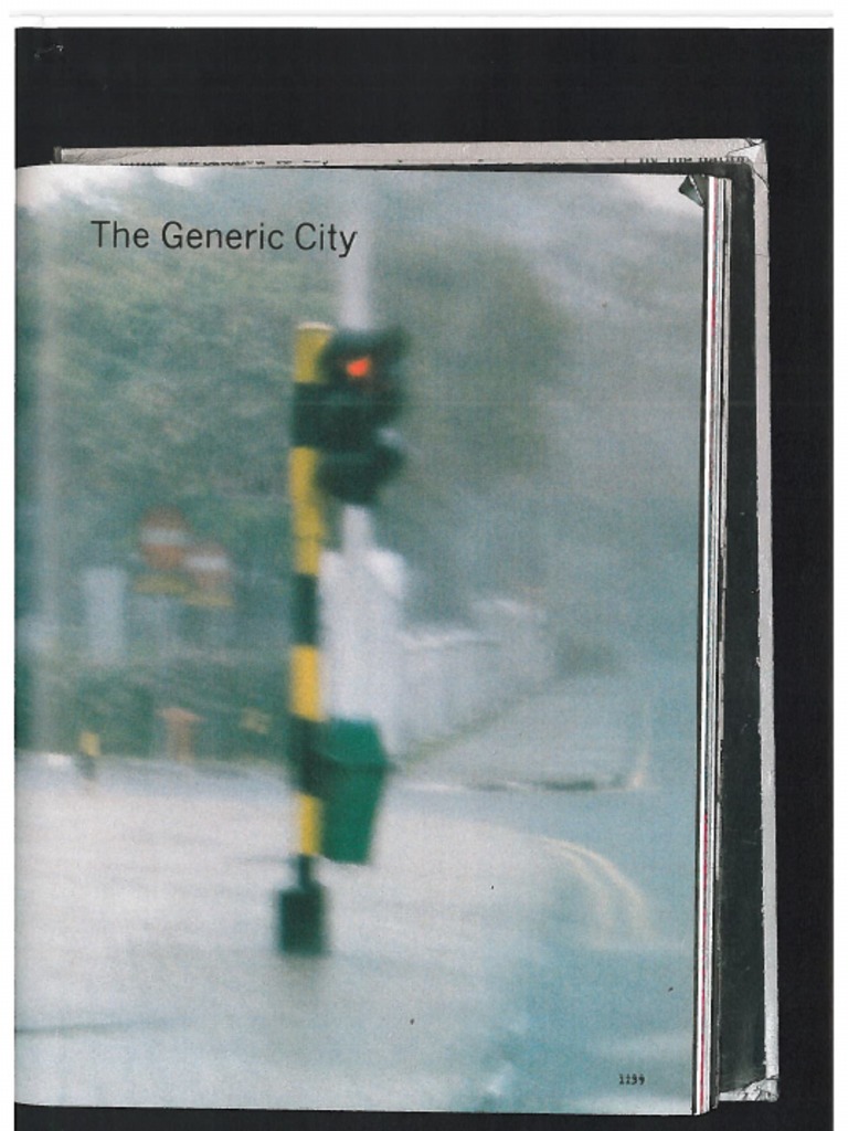 The Generic City_Rem Koolhaas Scan (S,M,L,XL)