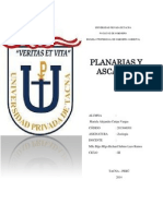 Informe de Planarias y Ascarias