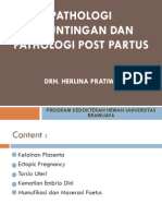 Kuliah Kemajiran Palotogi Kebuntingan Dan Patologi Post Partus