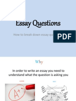 Powerpoint Questions