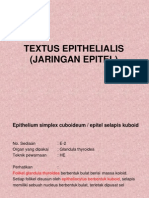 Textus Epithelialis