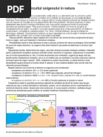 Circuitul Oxigenului in Natura