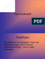 Viermi Paraziti