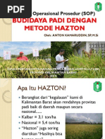Download SOP Haztonpdf by MaSuska SN245266303 doc pdf