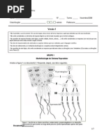 Teste 1 biologia 12º ano