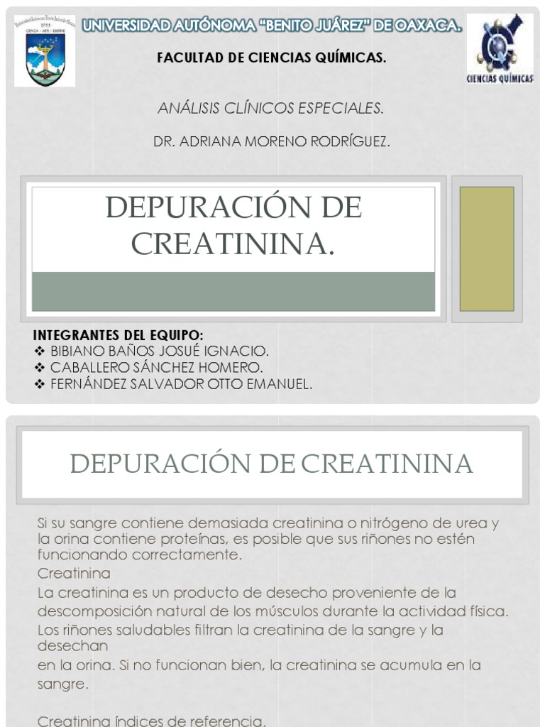 Depuración de Creatinina PDF Creatinina Riñón