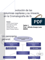 532fc3c4504dacolumnas Capilares y Fases Estacionarias