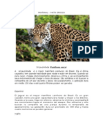 Material Fotografico do Pantanal