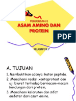 Percobaan 3 Protein