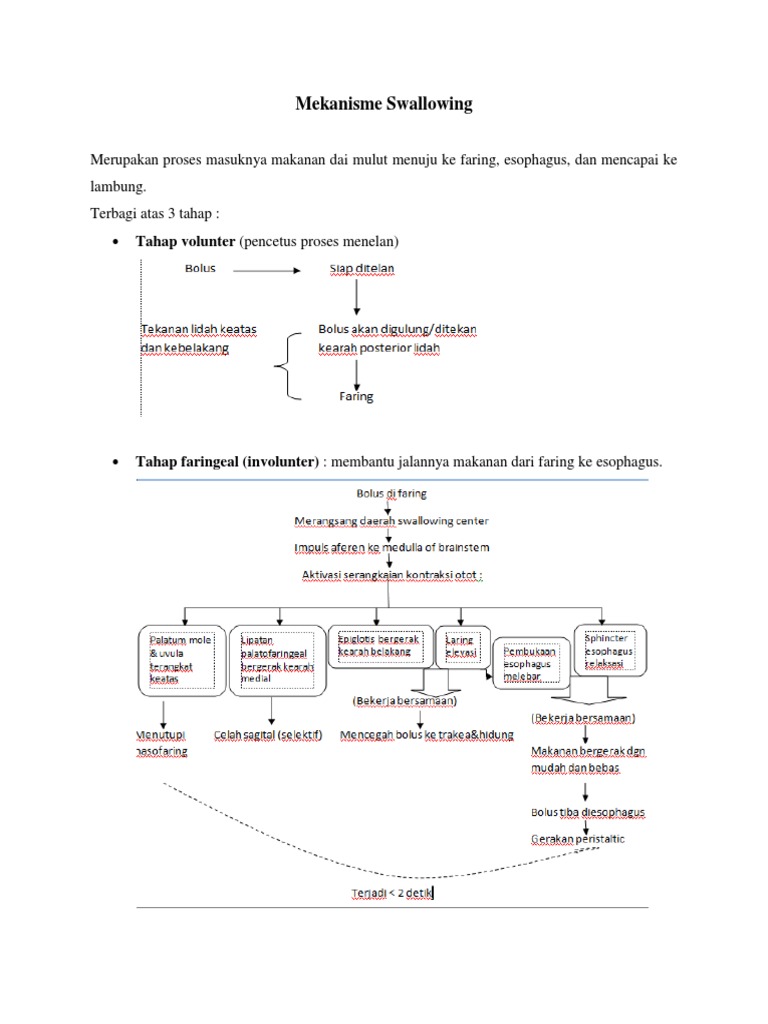 LI Rae - Mekanisme Swallowing | PDF | Kesehatan Holistik
