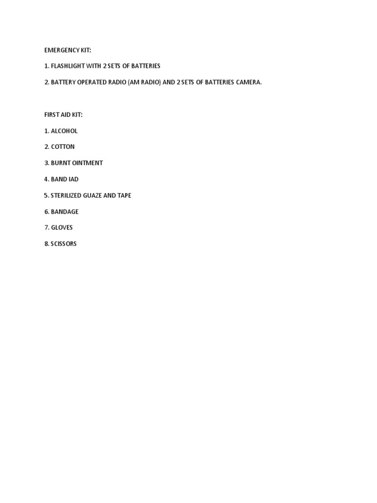 Emergency Audit Survival Kit | PDF