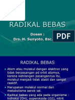 Radikal Bebas