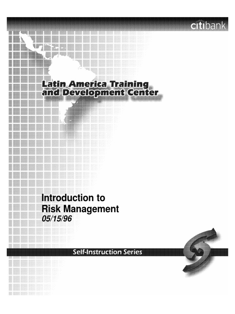 Citibank's Primary Risk Categories | PDF