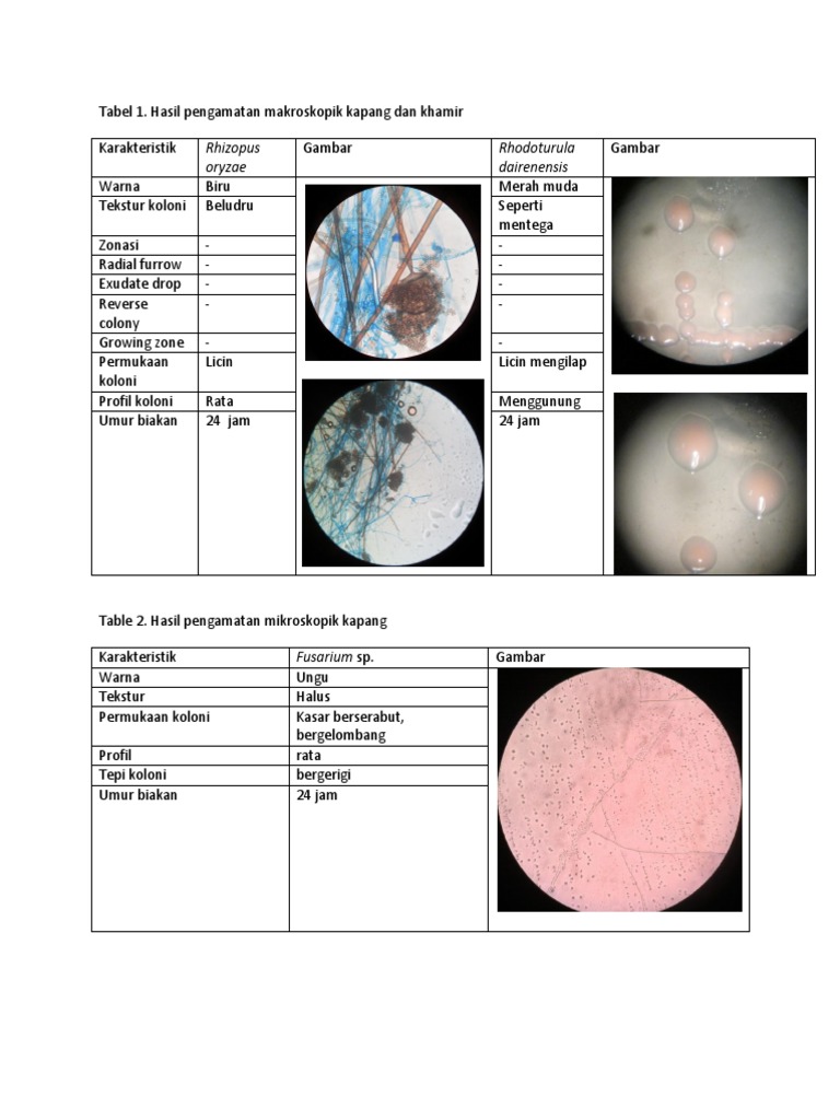 Rus tilida jinsiy aloqa haqida komikslar onlayn