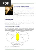Atitudes e Comportamento