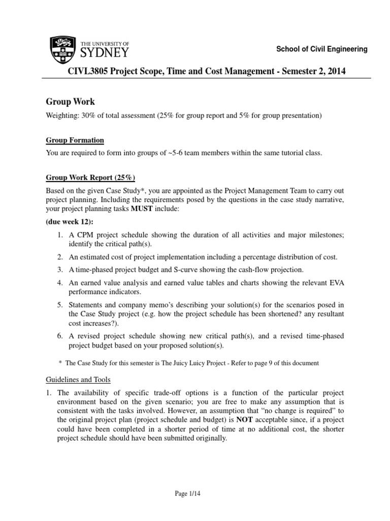 Project scope case study image