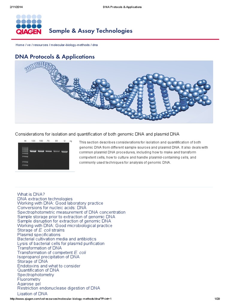 DNA Protocols & Applications | PDF
