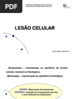Aula 2.Lesao Celular 2014 (1)