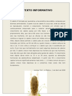 Texto Informativo 8º