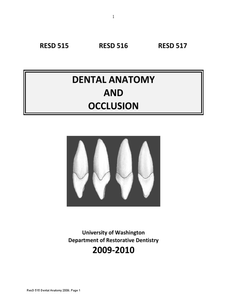 Dental Anatomy and Occlusion Overview | PDF | Dental Anatomy | Face