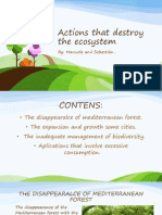 Actions That Destroy The Ecosystem