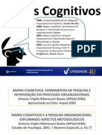 Mapas Cognitivos: Ferramentas de Pesquisa e Intervenção em Processos Organizacionais