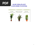 Download Aloe Vera Plant by canoqwarline SN24538825 doc pdf