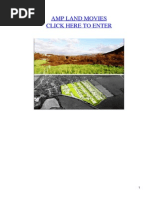 Download Amp Land Movies by canoqwarline SN24538852 doc pdf