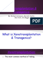 Xenotransplantation Transgenics