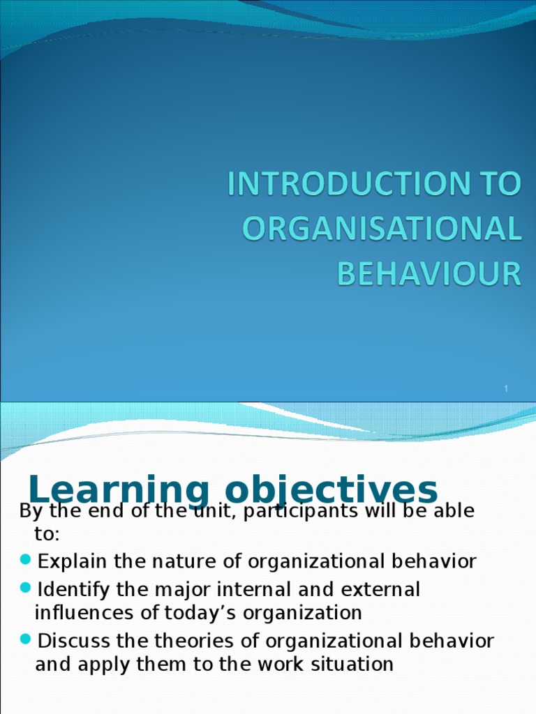 Introduction to Organizational Behavior | PDF | Organizational Behavior ...