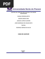 Cana de Açucar.docx