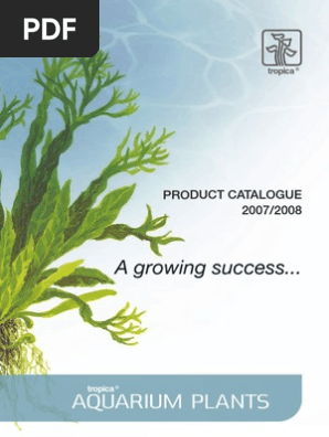 Aquarium Plants Catalogue | PDF | Plants | Horticulture And Gardening