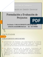 Formulacion y Evaluacion Proyectos - Diapositivas Oct