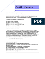 95290934 Metodo Castillo Morales PDF