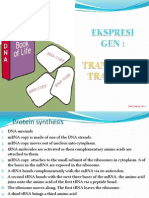Ekspresi Gen PDF
