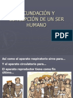 Fecundación y Concepción de Un Ser Humano