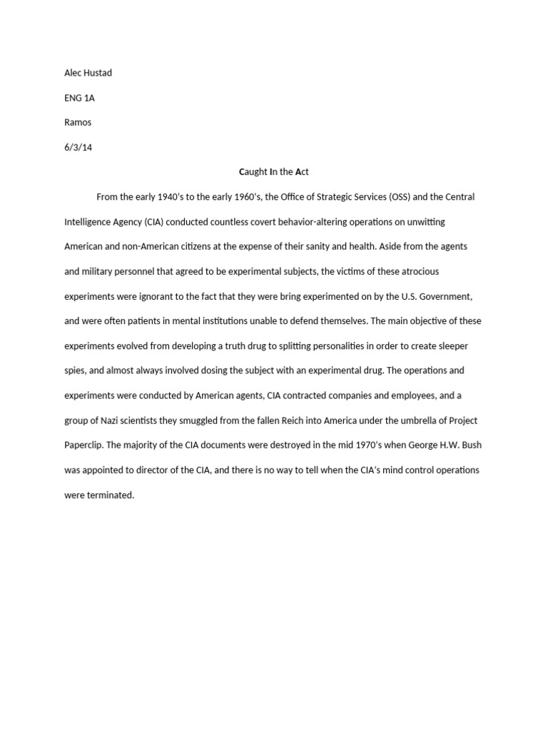 Service mind essay