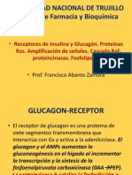 Insulina Glucagon Receptores Exp