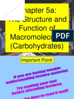 Carbohydrate