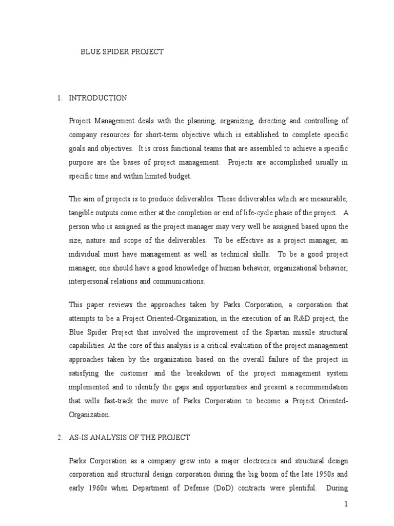 Blue Spider Project Management Review | PDF | Strategic Management ...