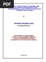 EMPLOYEES’ PERCEPTION OF TRAINING AND DEVELOPMENT PROGRAMMES IN AN ORGANIZATION