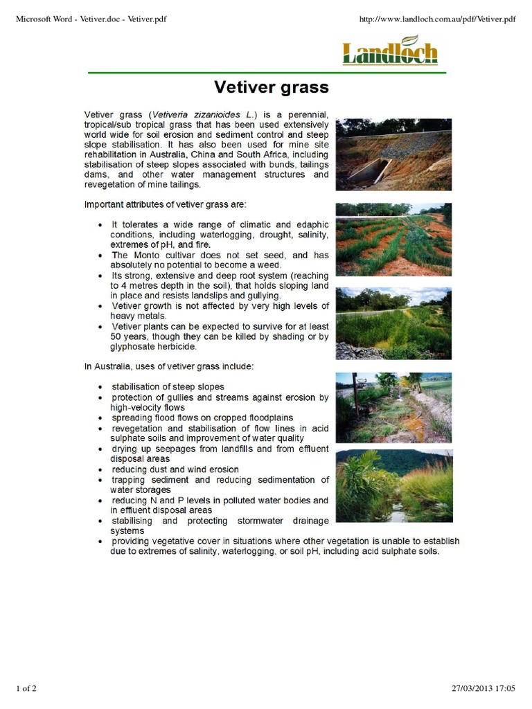 Vetiver Grass for Erosion Control | PDF | Career & Growth | Computers