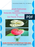 Anthurium Cultivation Under Polu House