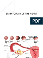 embryology.pptx