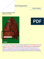 Mushkerite PDF