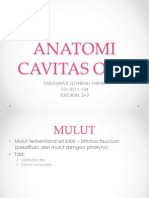 Anatomi Cavitas Oris